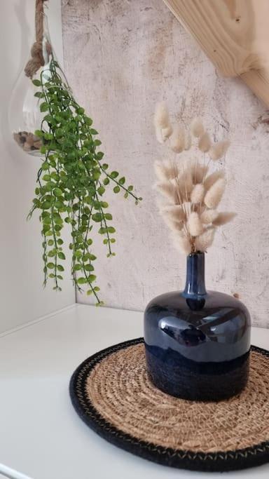 Le P'tit Indus , Duplex Lanester